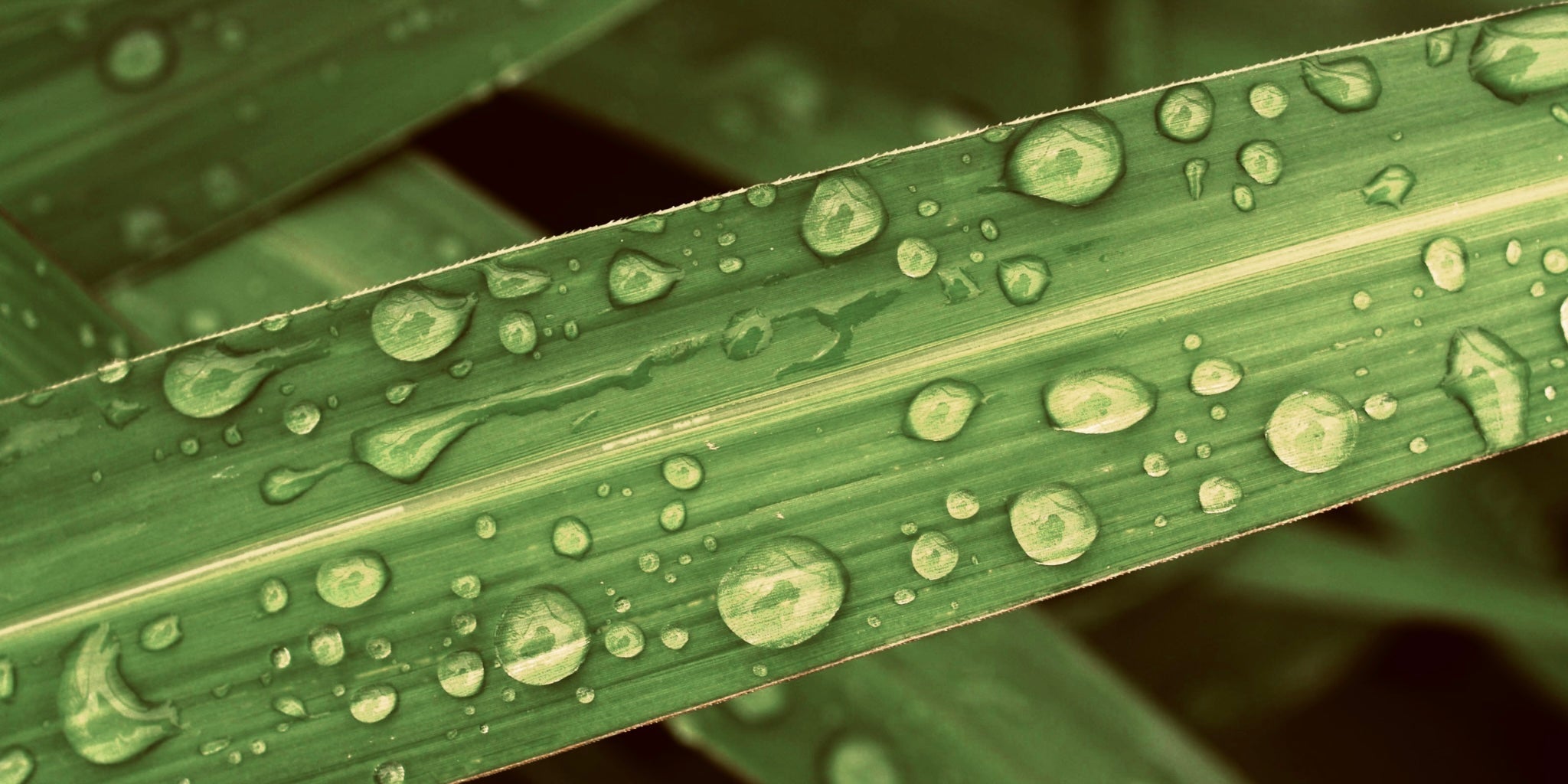 PFAS in Children's Clothing: What Parents Need to Know