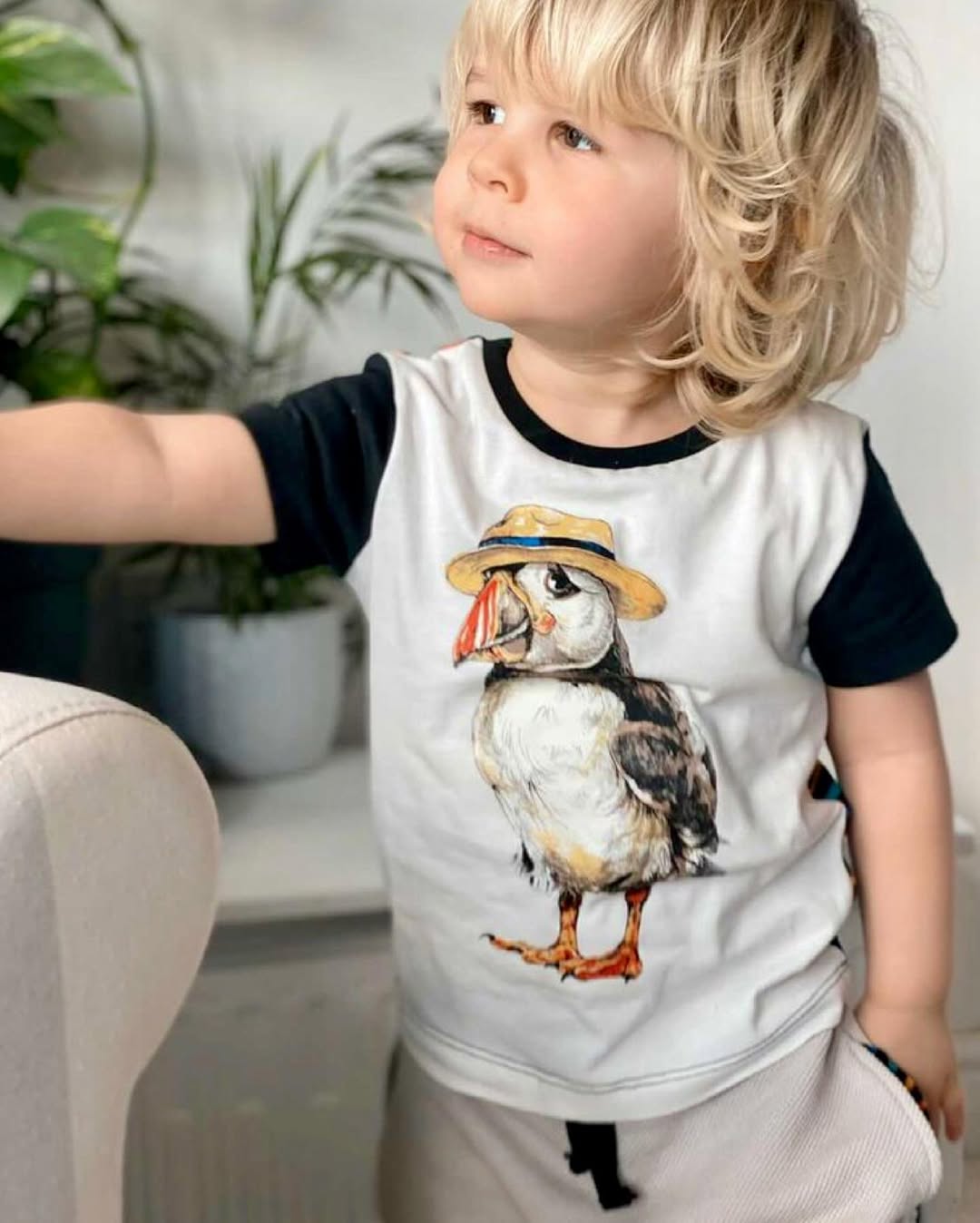 Organic Classic Tee - Panama Puffin