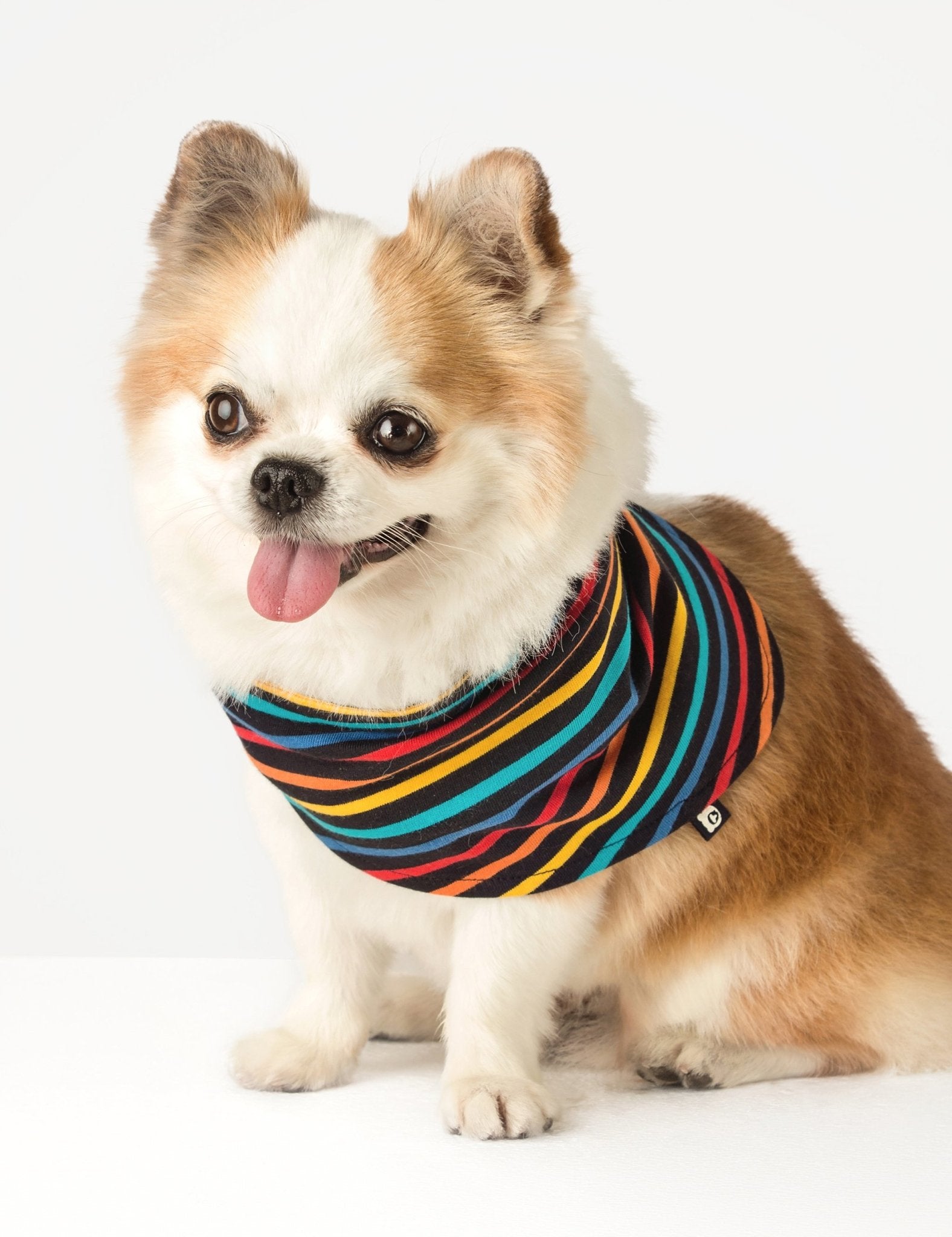 Doggie Bandana - Black Multistripe - The QT