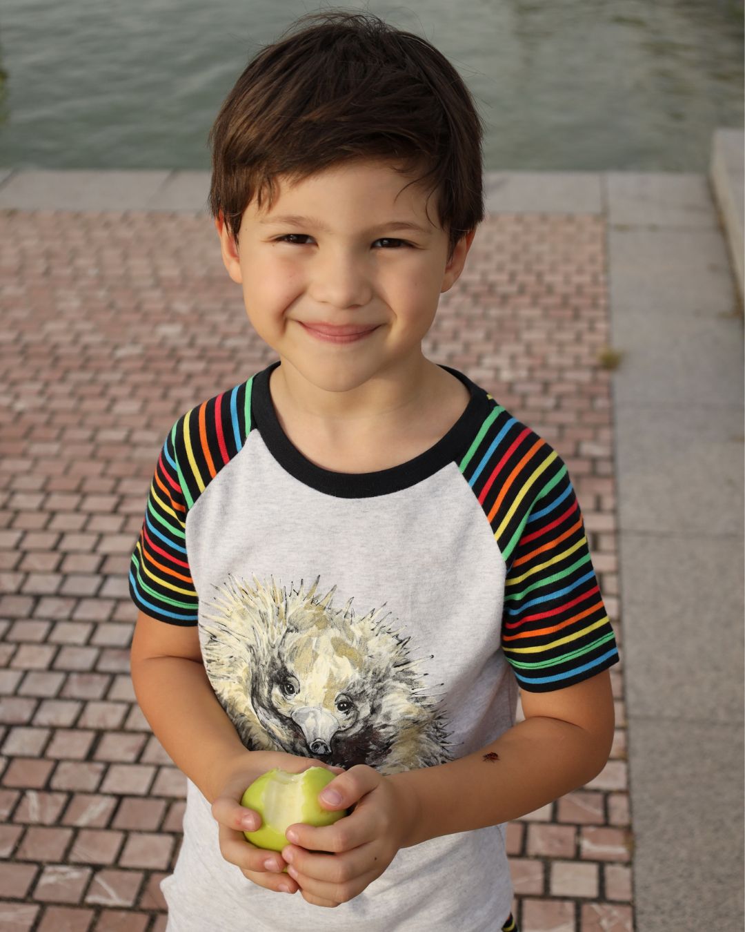 Organic Cosy Layers Bundle