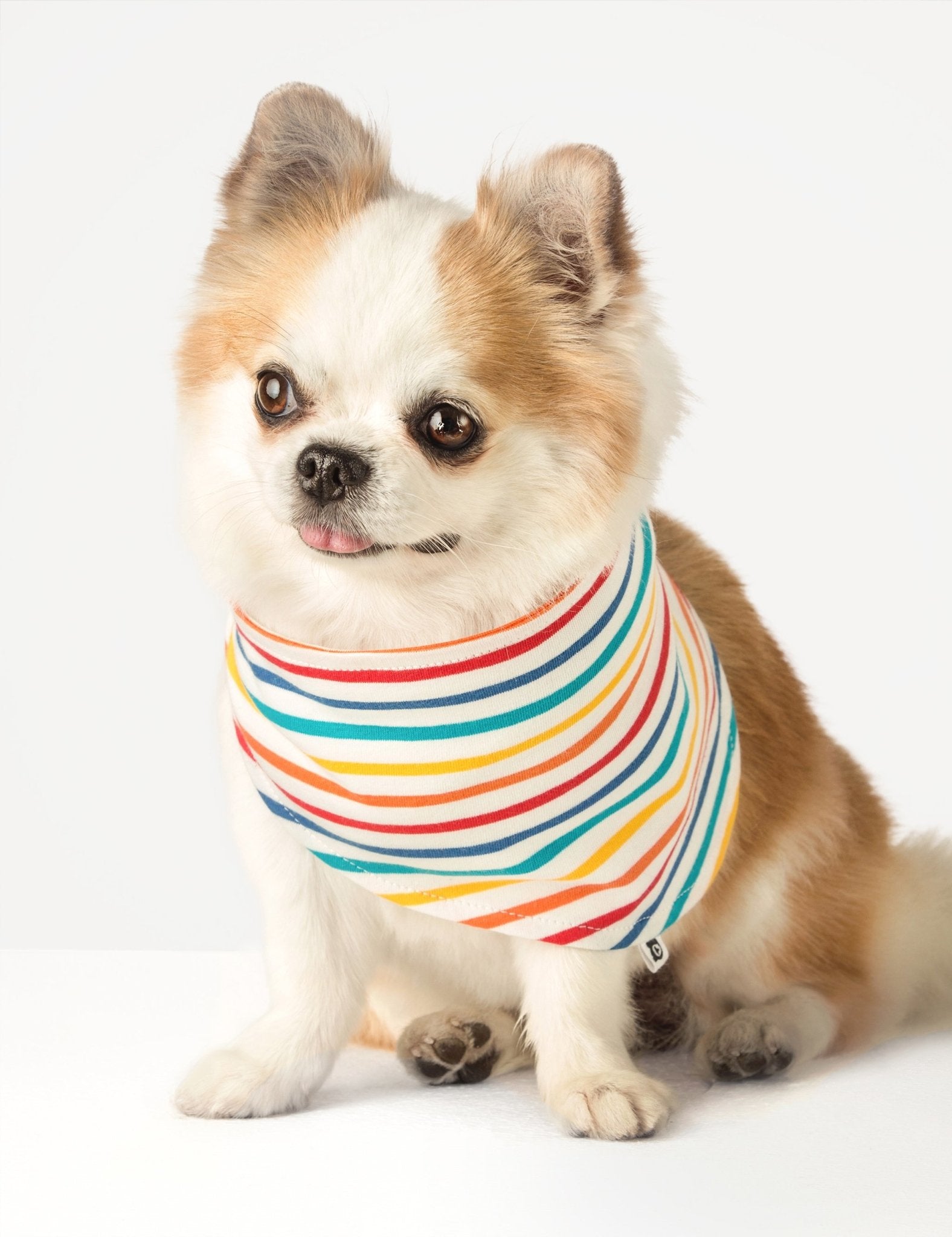 Doggie Bandana - White Multistripe - The QT